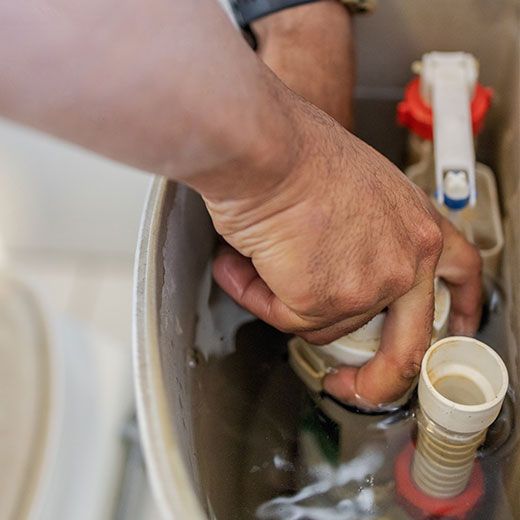 Same Day Toilet Plumbing Specialists In Webster