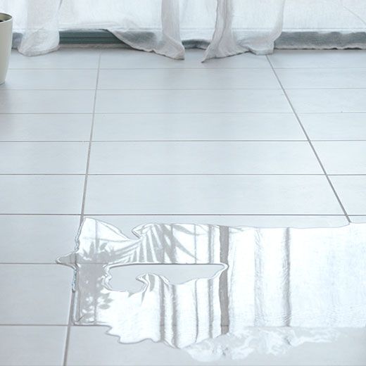 Webster's Shower and Tub Plumbing Specialists